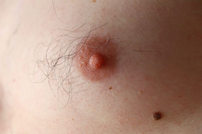 curiosities about female and male nipples