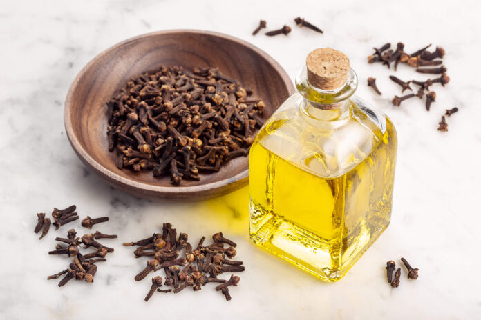 Clove oil uses benefits and preparation at home