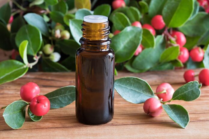 What is Wintergreen Essential Oil and what are its uses