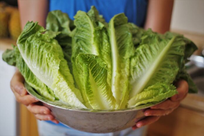 Tips for keeping lettuce fresher longer