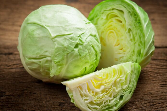 How to freeze cabbage at home
