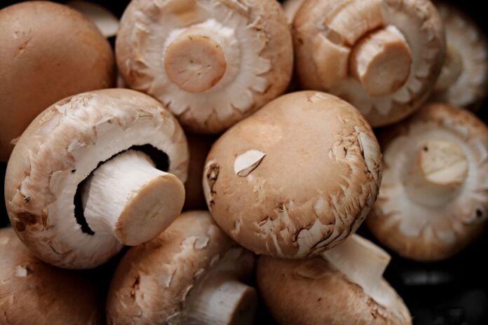 How to make vegan stuffed mushrooms