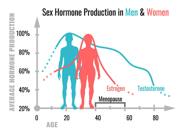 What are the functions of sex hormones