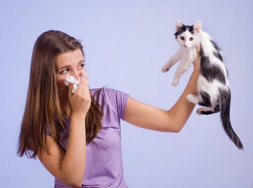 If you have a cat allergy this applies to you
