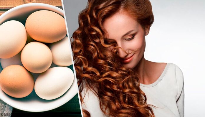egg moisturizing products for dry hair