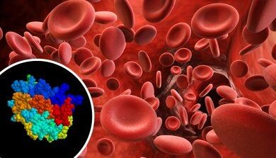 Erythropoietin what it is and what is its function