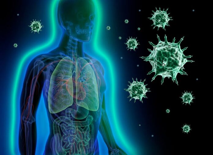 the immune system