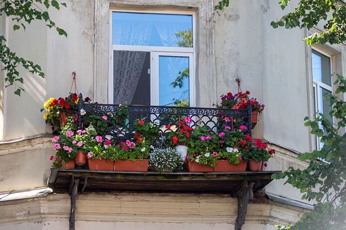 best sun resistant hanging plants to decorate balconies and outdoors